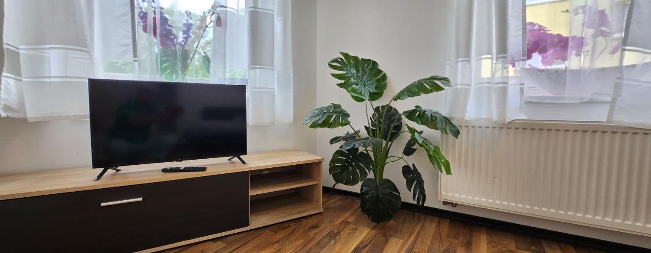 Elena Flat Orchidee Duisburg Zentrum Екстер'єр фото